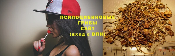 кокаин Белокуриха