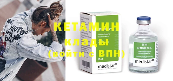 шишки Бородино