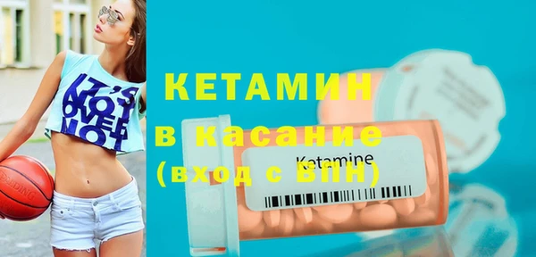 шишки Бородино