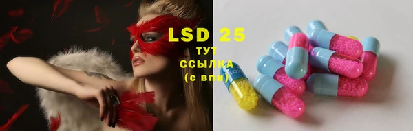 шишки Бородино