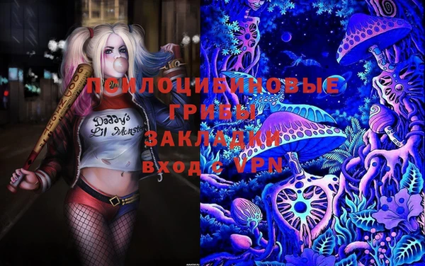 шишки Бородино