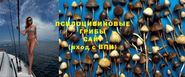 трава Бронницы
