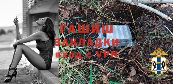 шишки Бородино