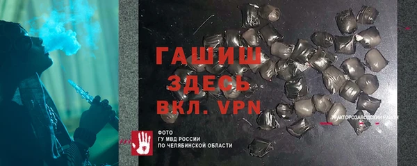 шишки Бородино